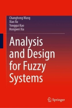 Analysis and Design for Fuzzy Systems