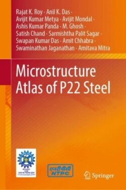 Microstructure Atlas of P22 Steel