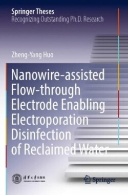 Nanowire-assisted Flow-through Electrode Enabling Electroporation Disinfection of Reclaimed Water