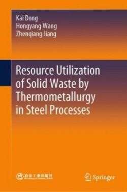  Resource Utilization of Solid Waste by Thermometallurgy in Steel Processes