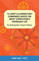 Lamp's Illumination Condensed Advice on Great Completion's Thorough Cut