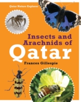Insects and Arachnids of Qatar