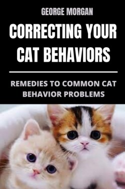 Correcting Your Cat Behaviors