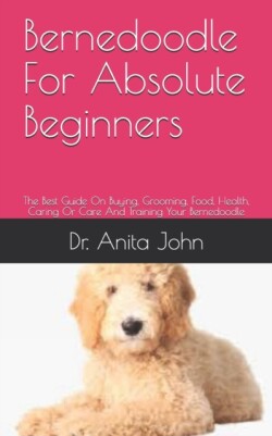 Bernedoodle For Absolute Beginners