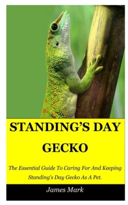 Standing's Day Gecko