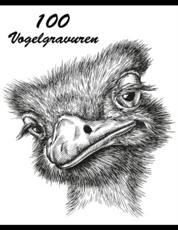 100 Vogelgravuren