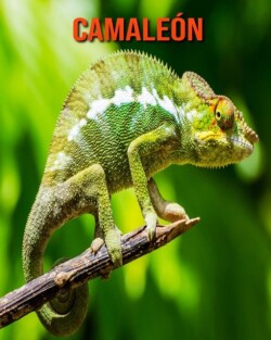 Camaleon