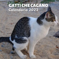 Gatti Che Cagano Calendario 2022