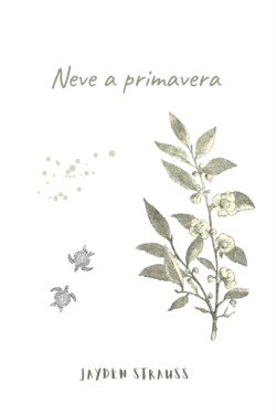 Neve a primavera