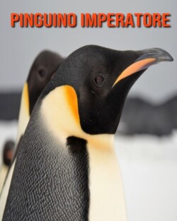 Pinguino imperatore