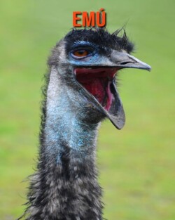 Emu