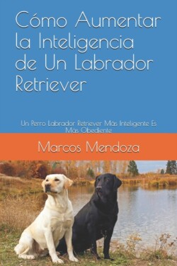 Cómo Aumentar la Inteligencia de Un Labrador Retriever