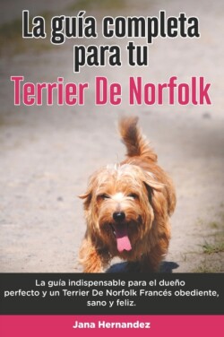 Guía Completa Para Tu Terrier De Norfolk