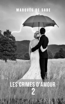 Les crimes damour 2