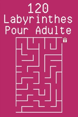 120 Labyrinthes Pour Adulte