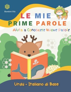 Mie Prime Parole Bambini Età. Aiuta A Conoscere Nuove Parole. Urdu-Italiano Di Base