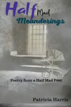 Half-Mad Meanderings