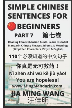 Simple Chinese Sentences for Beginners (Part 7) Reading Comprehension Guide, Learn Essential Mandarin Chinese Phrases, Idioms, and Meanings (Simplified Characters, Pinyin & English)