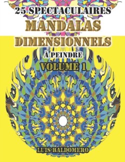 25 spectaculaires mandalas dimensionnels a peindre VOLUME 1