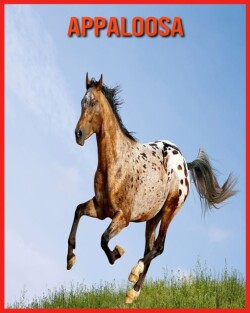 Appaloosa