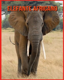 Elefante Africano