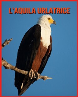 L'aquila Urlatrice