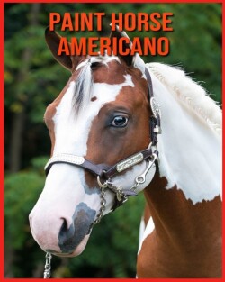 Paint Horse Americano