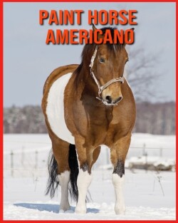 Paint Horse Americano