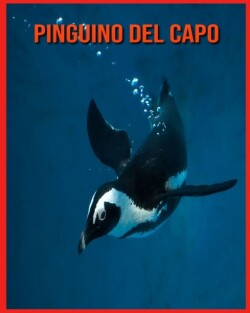 Pinguino del Capo