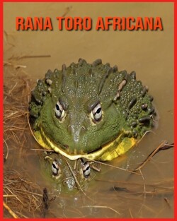 Rana Toro Africana