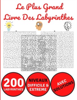 Le Plus Grand Livre Des Labyrinthes