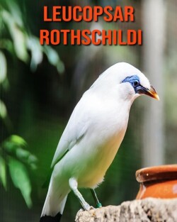 Leucopsar rothschildi