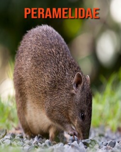 Peramelidae