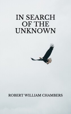 In Search of the Unknown