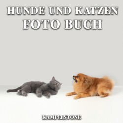 Hunde und Katzen Foto Buch