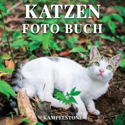 Katzen Foto Buch