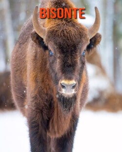 Bisonte