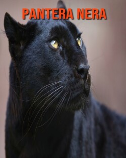 Pantera nera