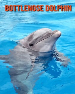 Bottlenose Dolphin