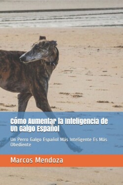Cómo Aumentar la Inteligencia de Un Galgo Español