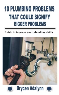 10 Plumbing Problems That Could Signify Bigger Problems