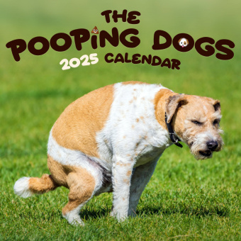 Kackende Hunde - Der Pooping Dogs Kalender 2025